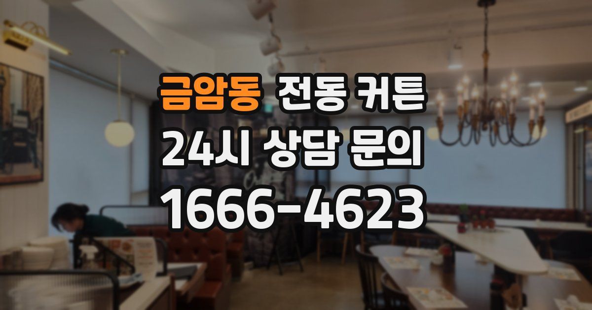 금암동 전동 커튼