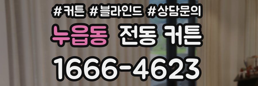 누읍동 전동 커튼