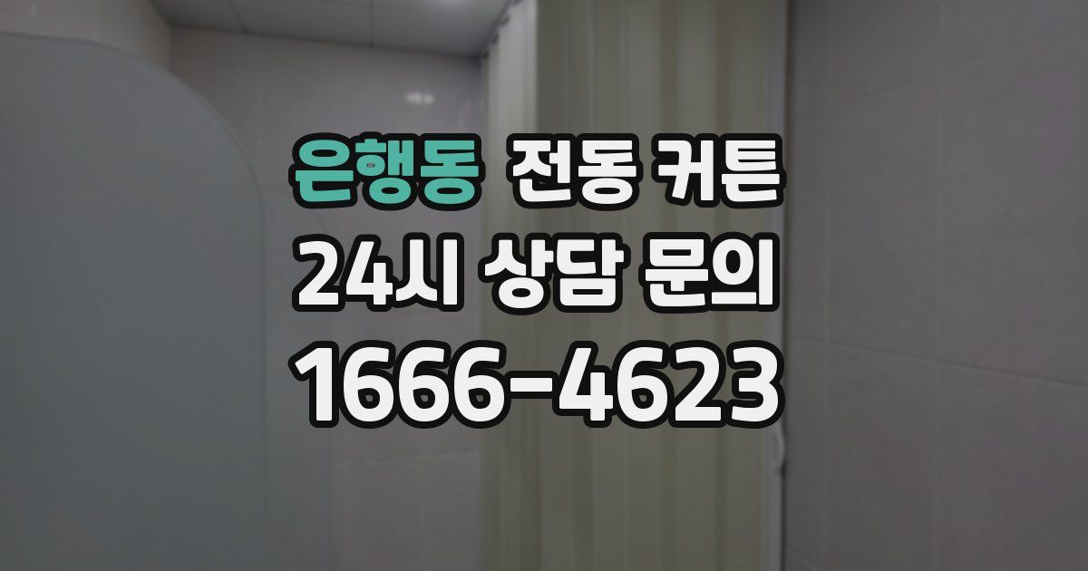 은행동 전동 커튼
