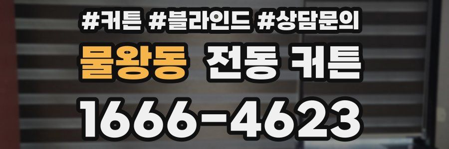 물왕동 전동 커튼