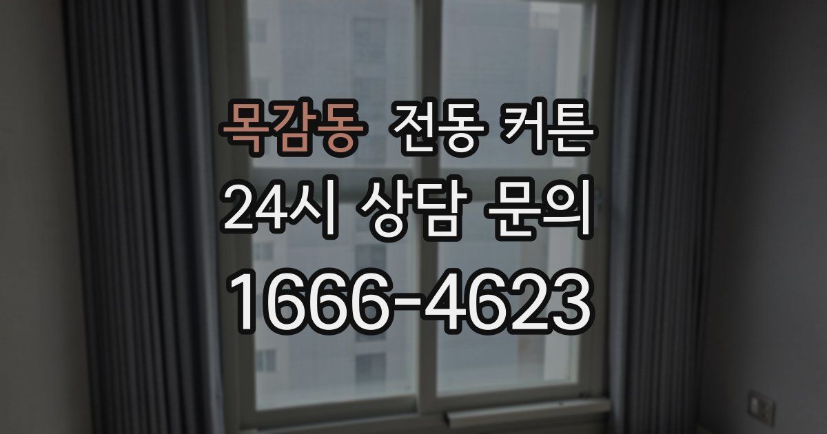 목감동 전동 커튼