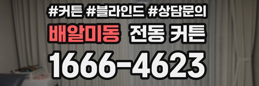 배알미동 전동 커튼