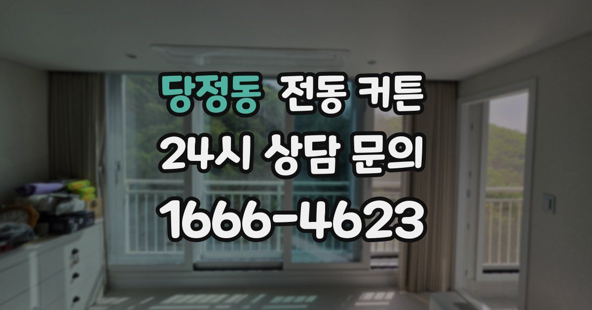 당정동 전동 커튼