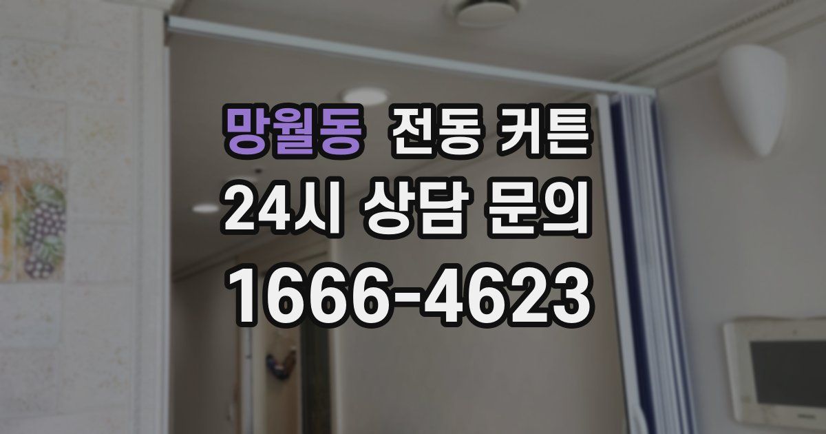 망월동 전동 커튼