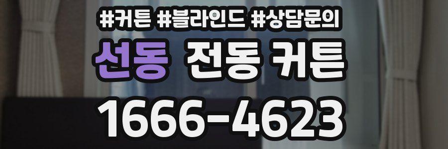 선동 전동 커튼