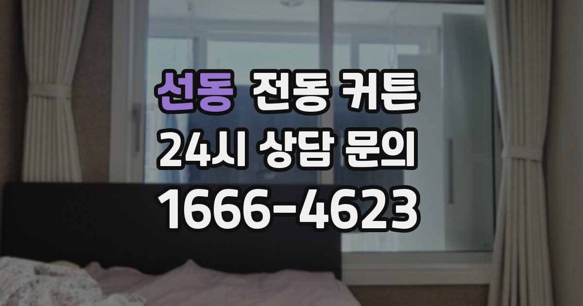 선동 전동 커튼