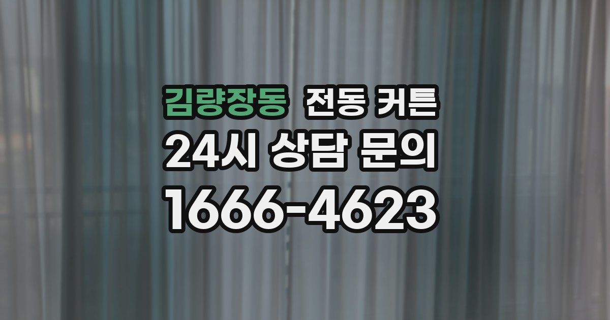 김량장동 전동 커튼