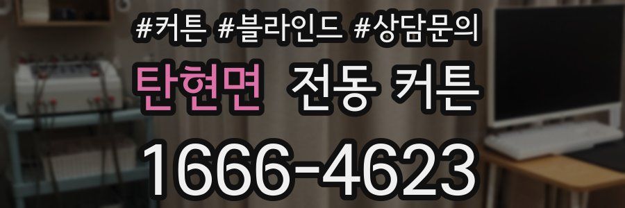 탄현면 전동 커튼