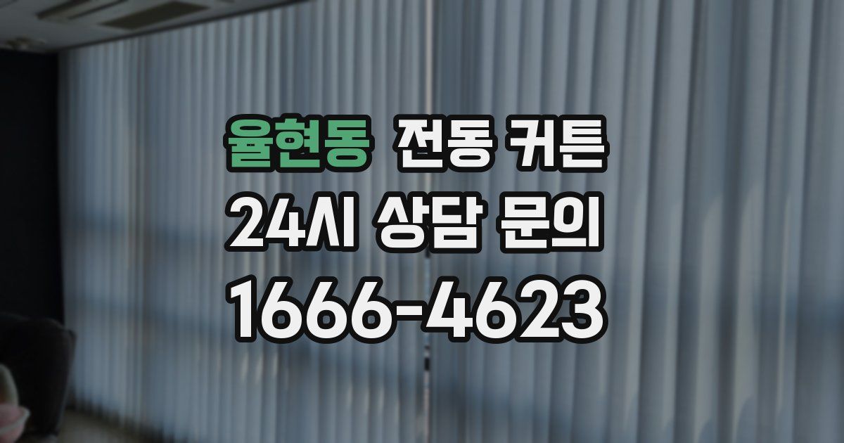 율현동 전동 커튼
