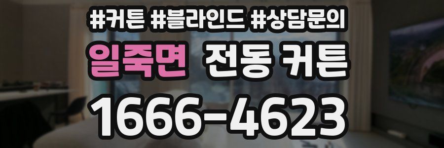 일죽면 전동 커튼