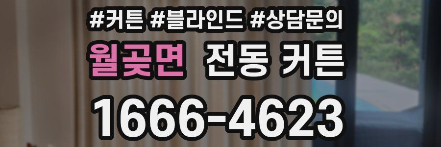 월곶면 전동 커튼