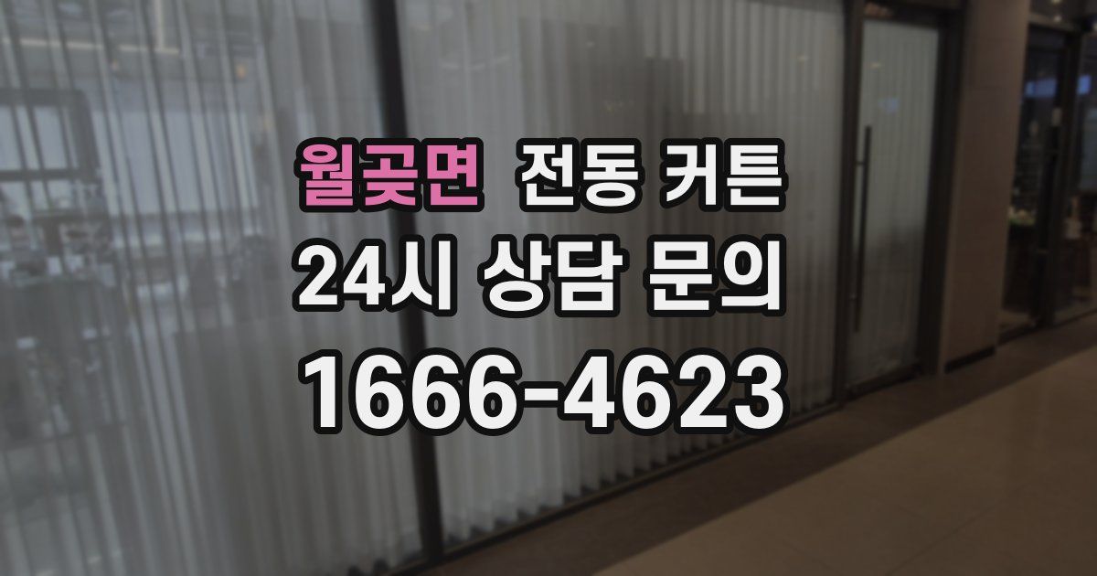 월곶면 전동 커튼