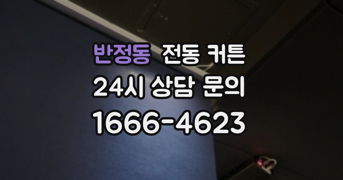 반정동 전동 커튼