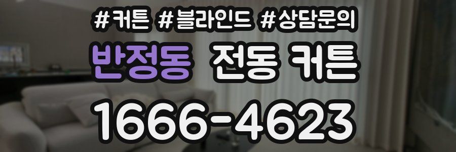 반정동 전동 커튼