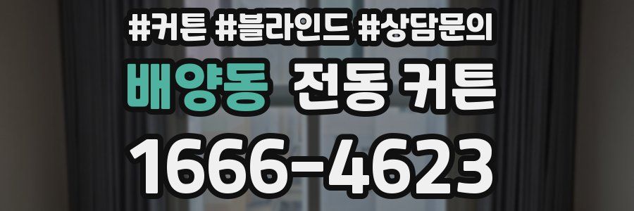 배양동 전동 커튼