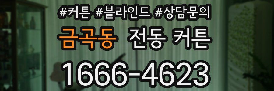 금곡동 전동 커튼