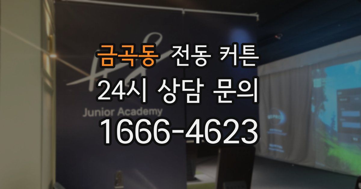 금곡동 전동 커튼