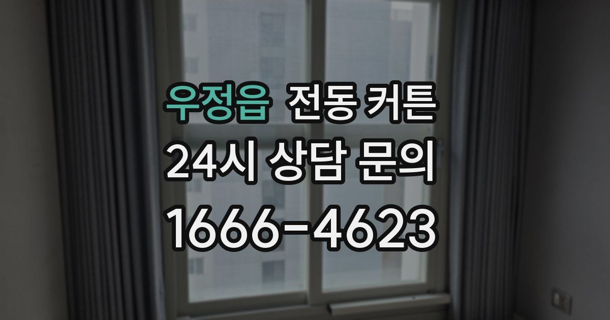 우정읍 전동 커튼