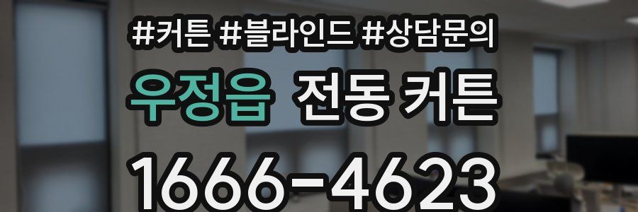 우정읍 전동 커튼