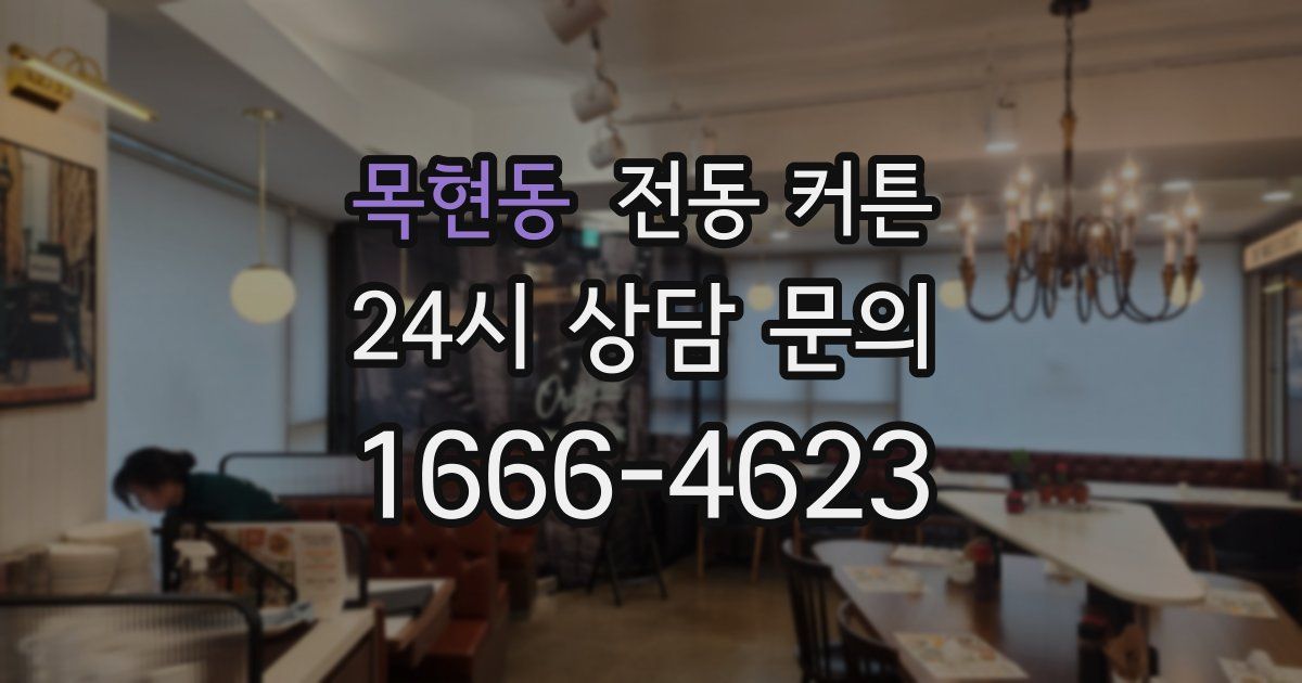 목현동 전동 커튼