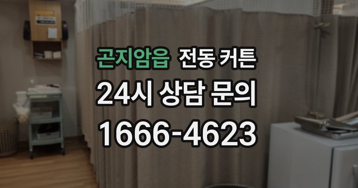 곤지암읍 전동 커튼
