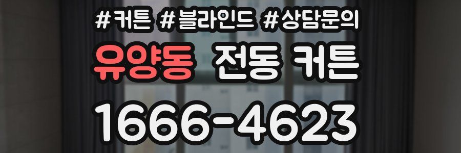 유양동 전동 커튼