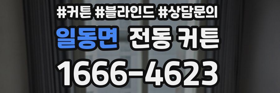 일동면 전동 커튼