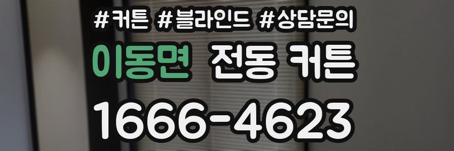 이동면 전동 커튼