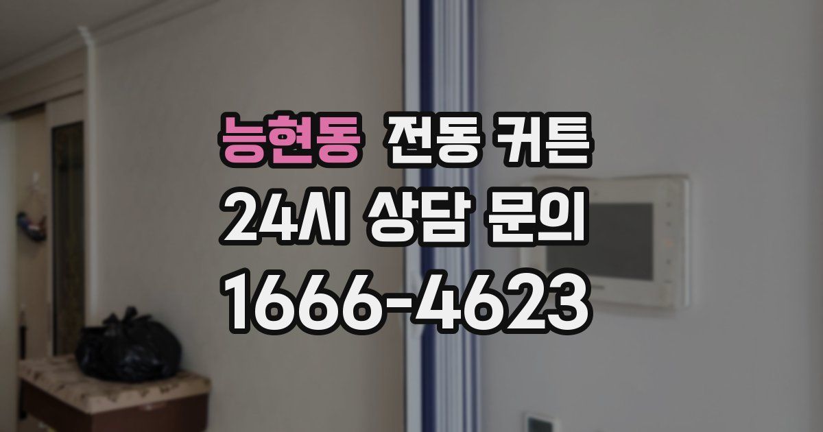 능현동 전동 커튼