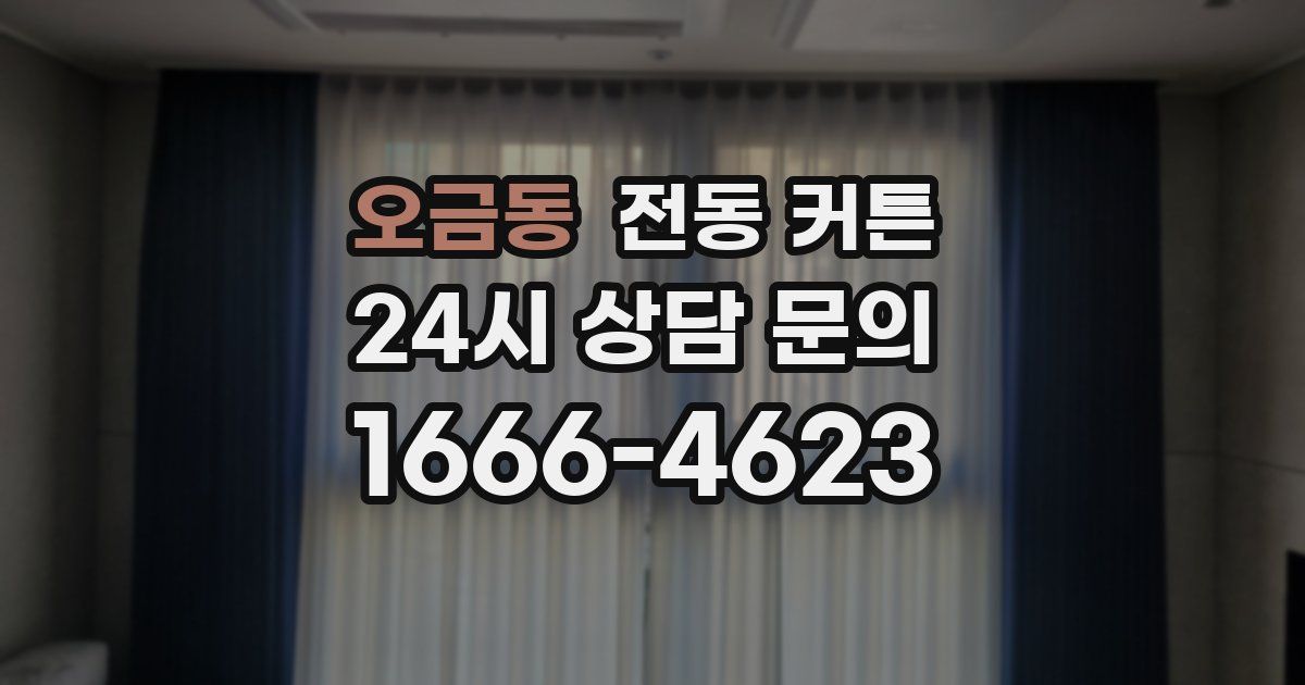 오금동 전동 커튼