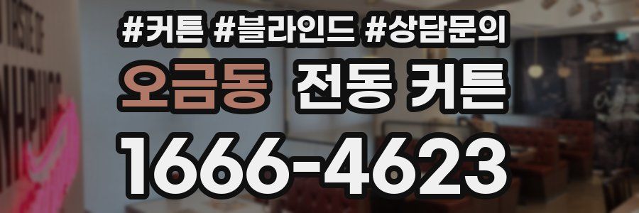 오금동 전동 커튼
