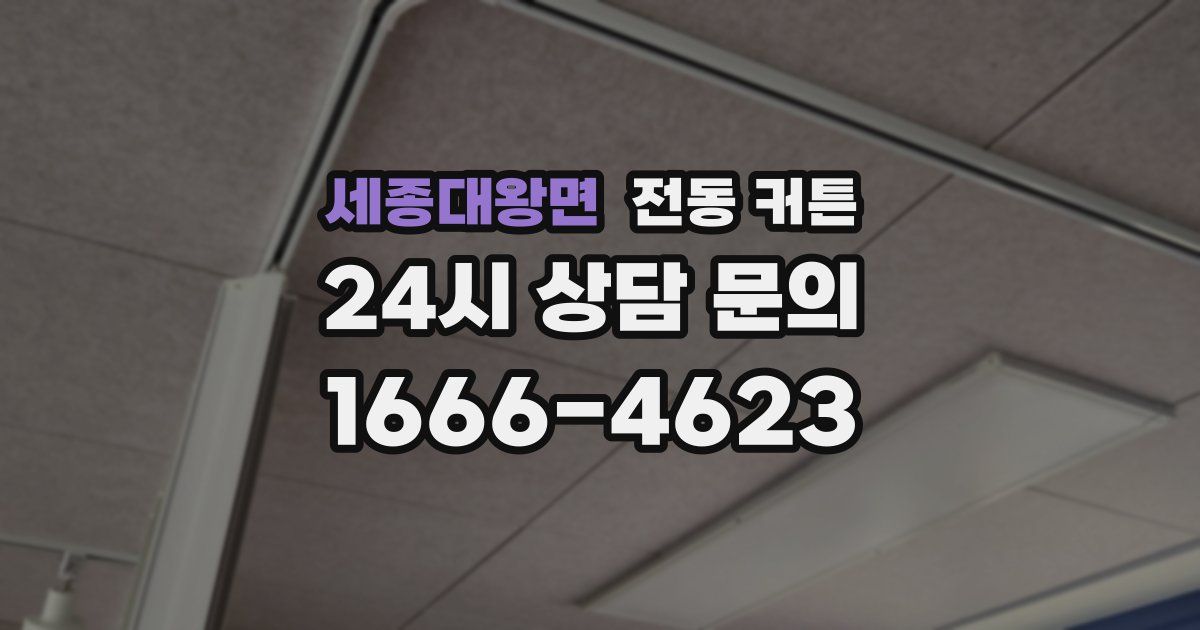 세종대왕면 전동 커튼