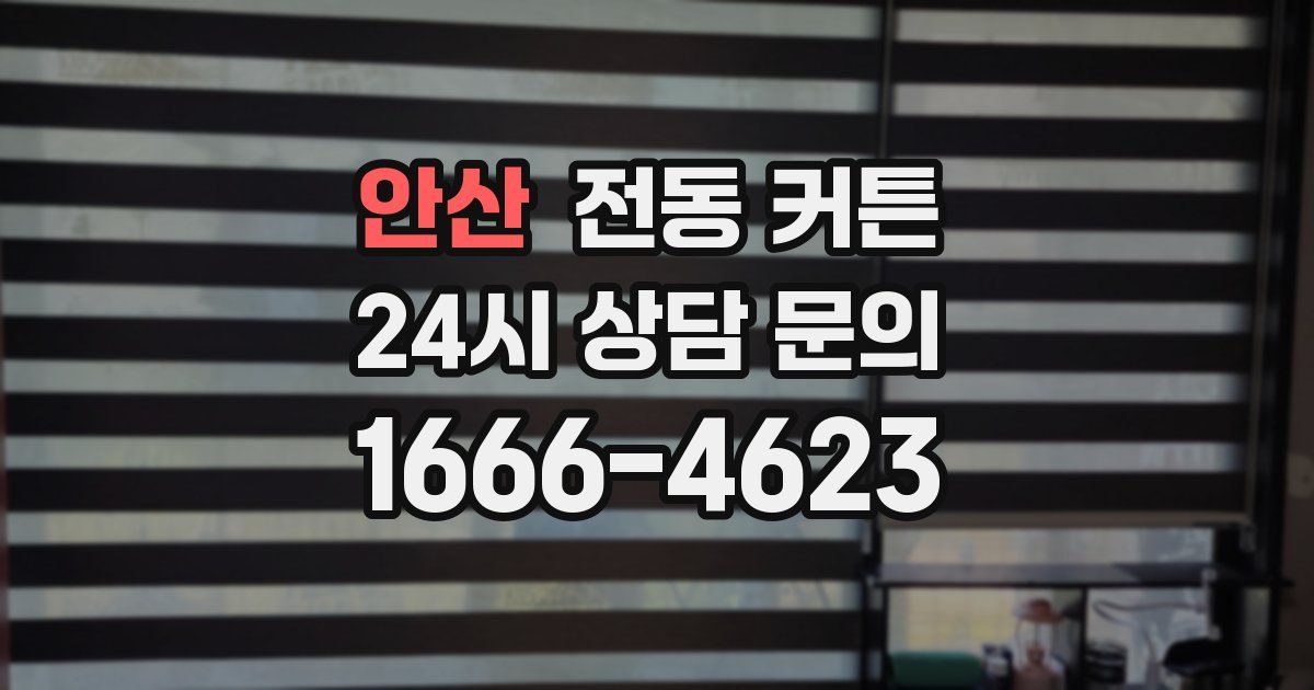 안산 전동 커튼
