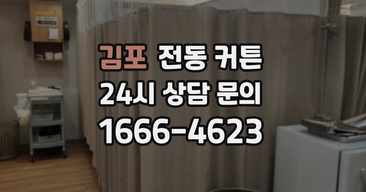 김포 전동 커튼