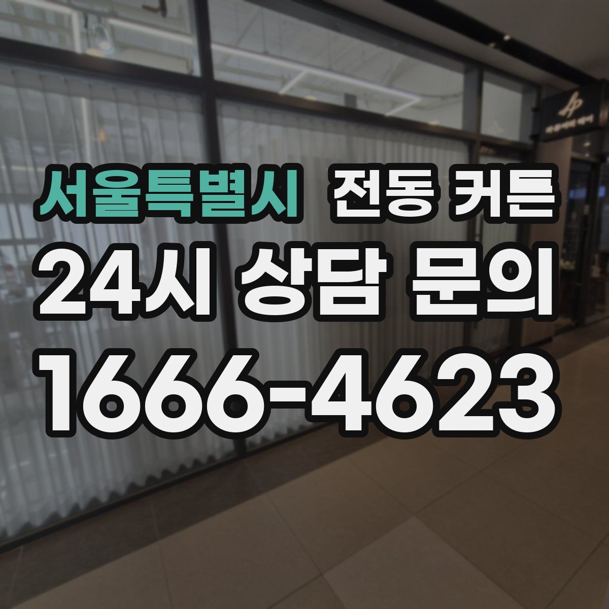 서울특별시 전동 커튼