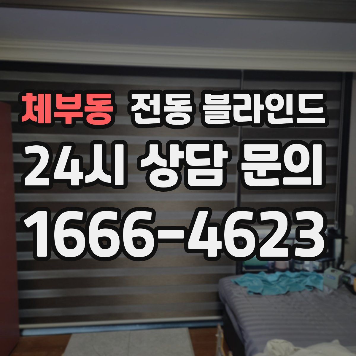 체부동 전동 블라인드