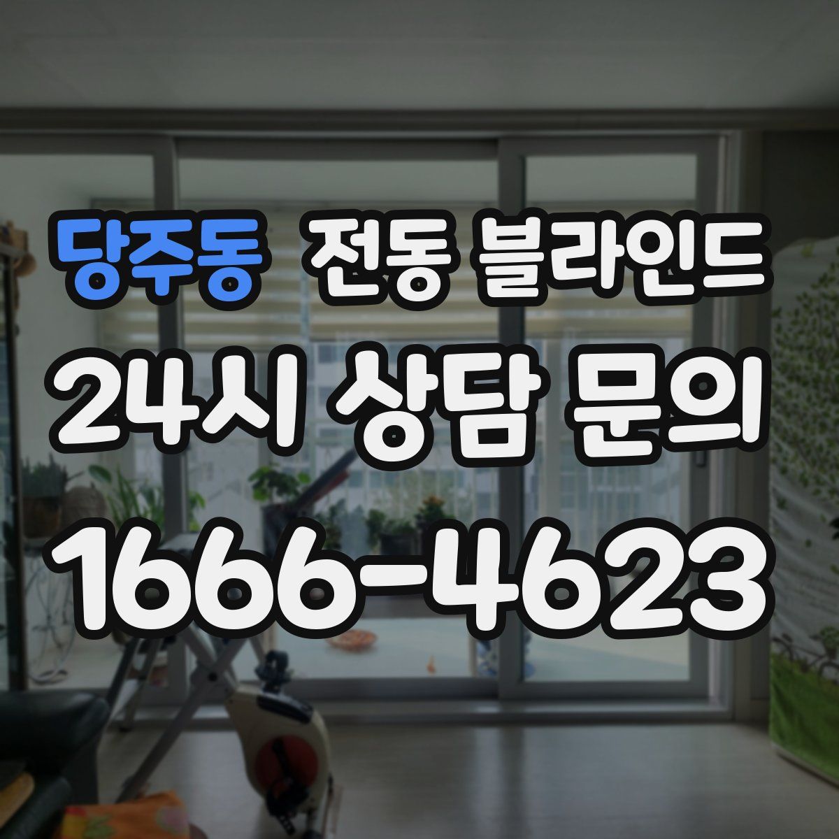 당주동 전동 블라인드