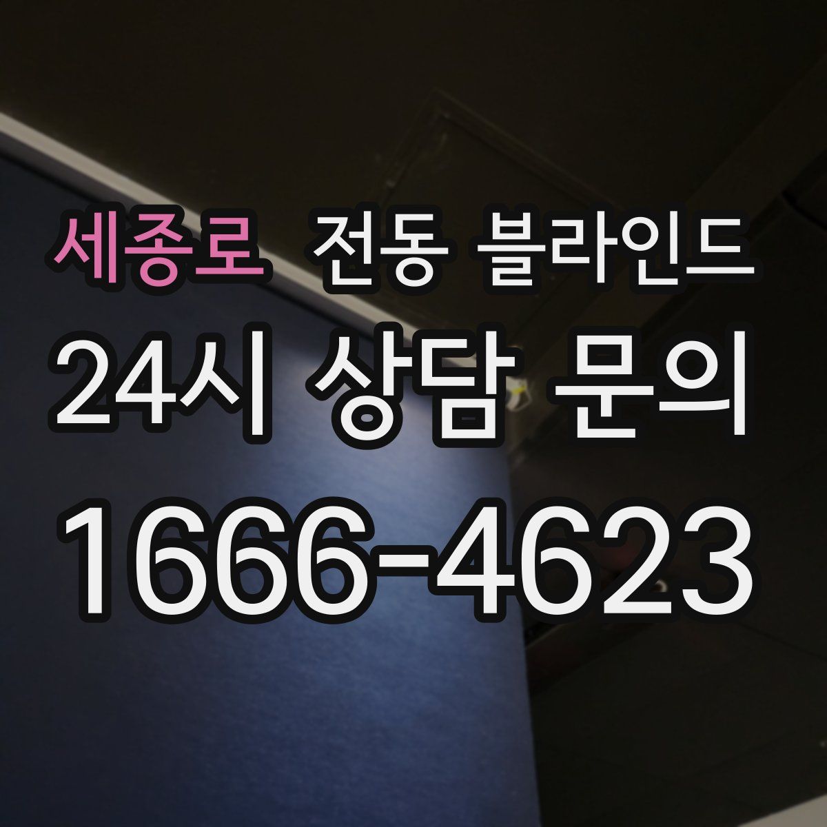세종로 전동 블라인드