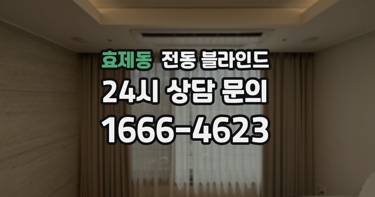 효제동 전동 블라인드