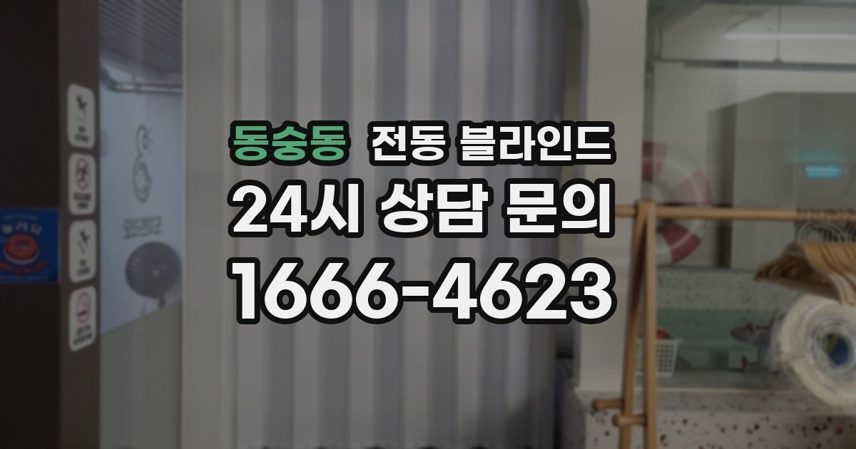 동숭동 전동 블라인드