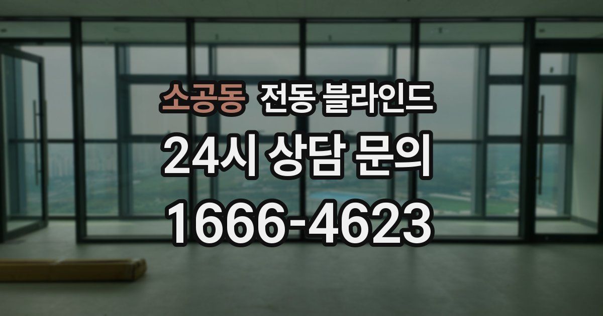 소공동 전동 블라인드