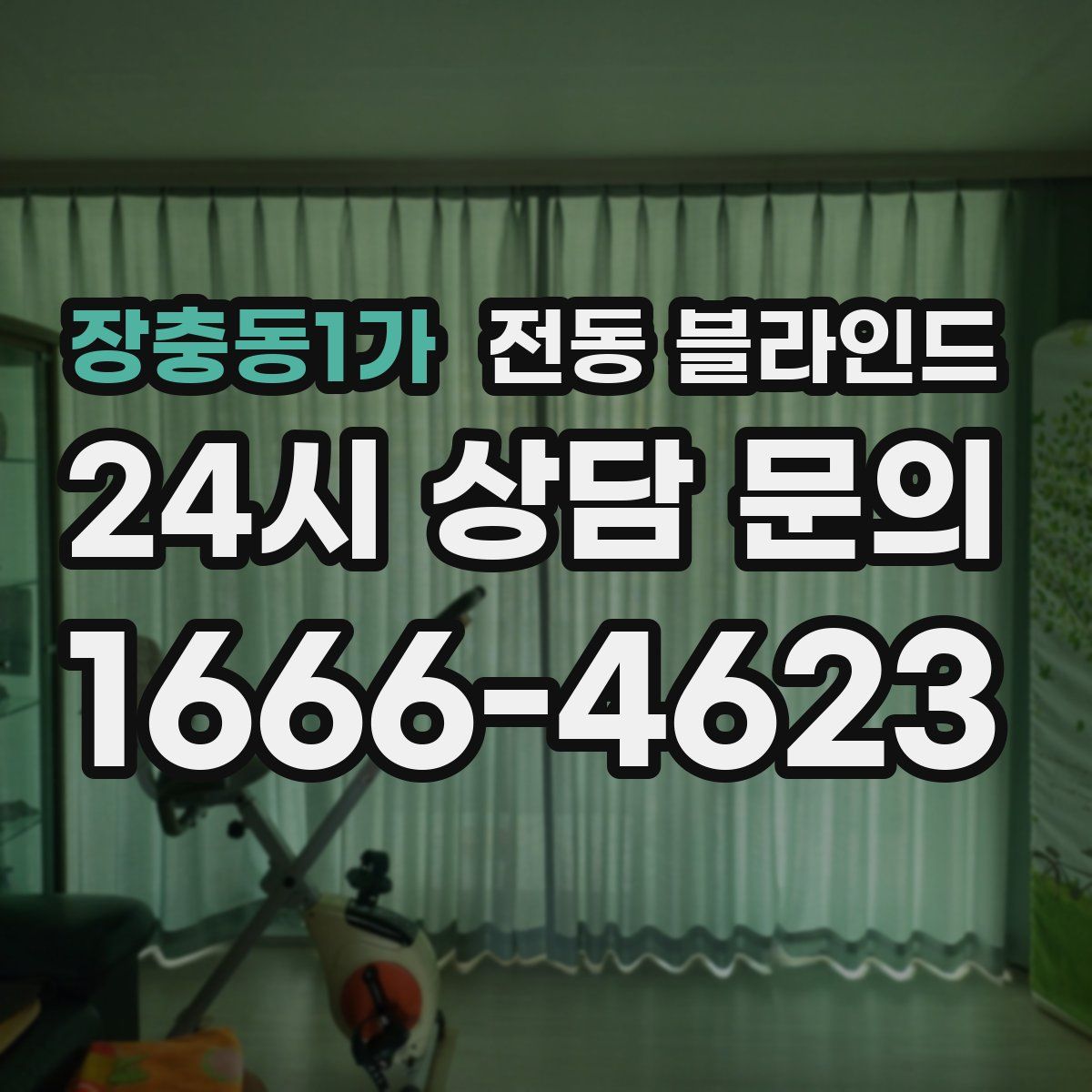 장충동1가 전동 블라인드