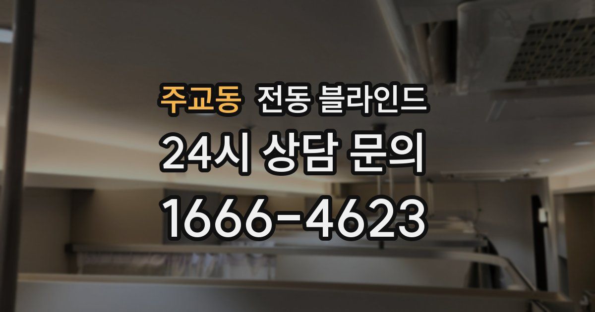 주교동 전동 블라인드