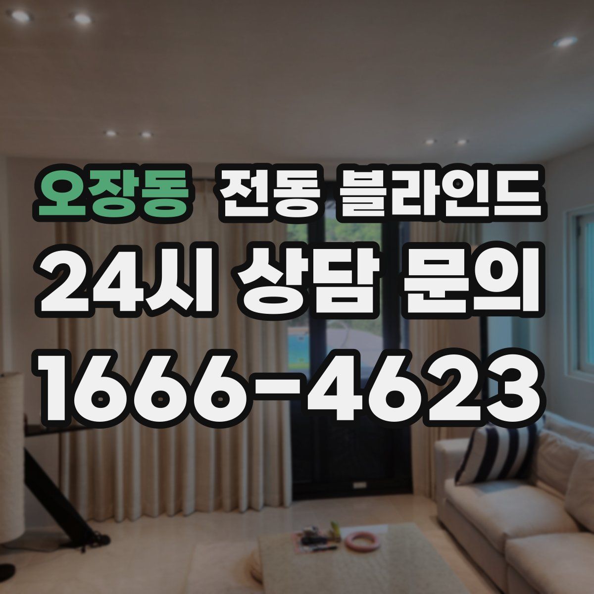 오장동 전동 블라인드