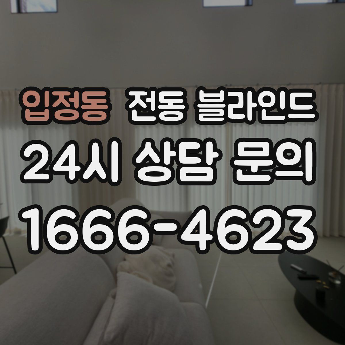 입정동 전동 블라인드