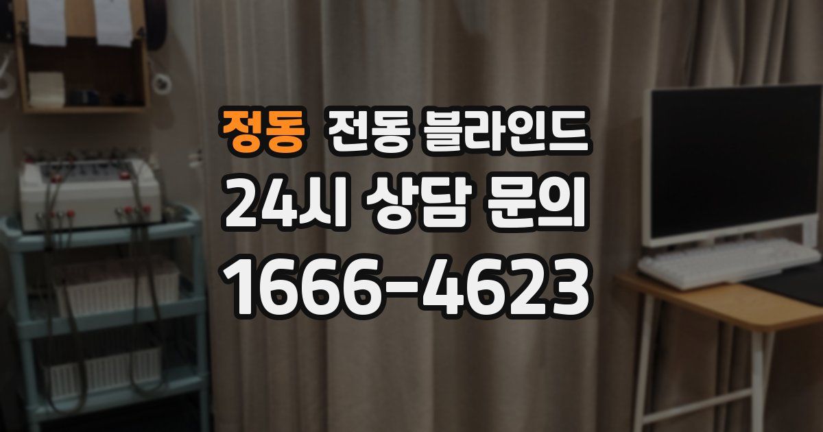 정동 전동 블라인드