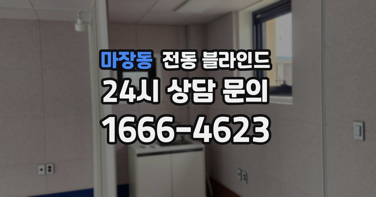 마장동 전동 블라인드