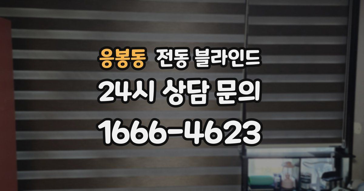 응봉동 전동 블라인드