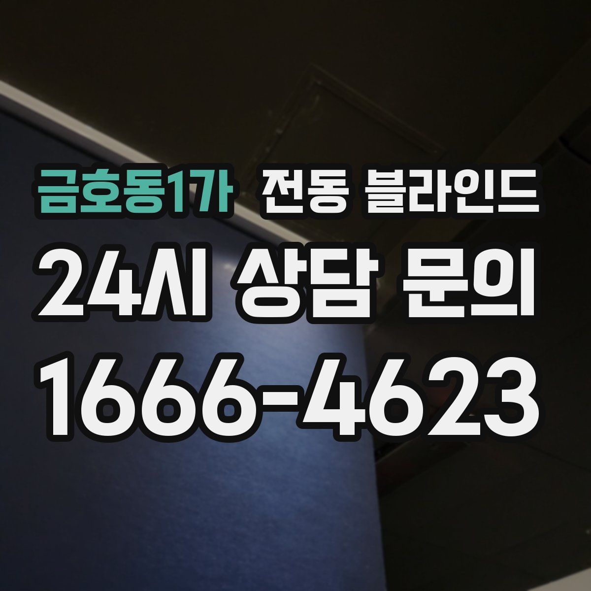 금호동1가 전동 블라인드