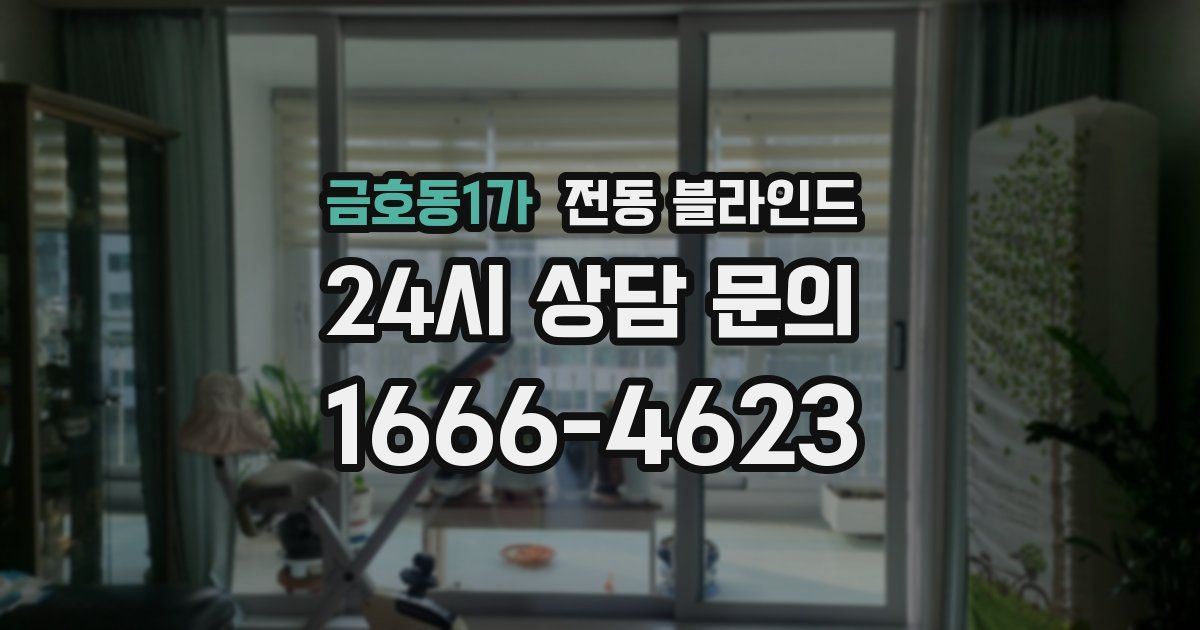 금호동1가 전동 블라인드